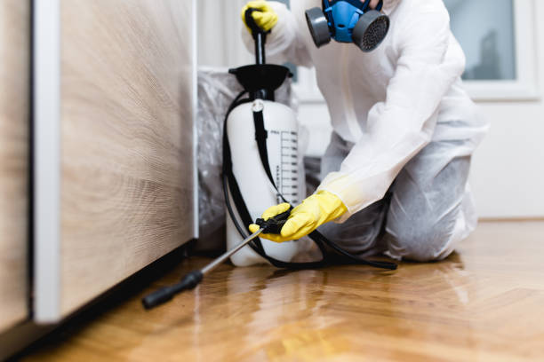 Best Bed Bug Extermination  in Broadway, NC