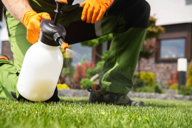Best Flea Control Services  in Broadway, NC