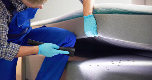 Best Affordable Exterminators  in Broadway, NC