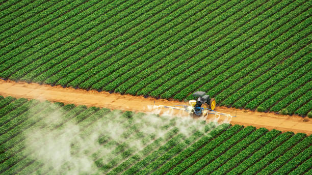 Best Mosquito Control Services  in Broadway, NC