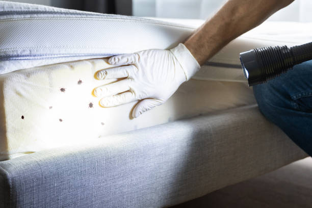 Best Pest Control Near Me  in Broadway, NC